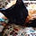 Salem