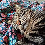 animal, cat, close_up, comfort, cozy, cute, feline, floral_blanket, fur, indoor, nap, pattern, paw, pet, relaxation, resting, sleeping, soft_light, tabby_cat, whiskers
