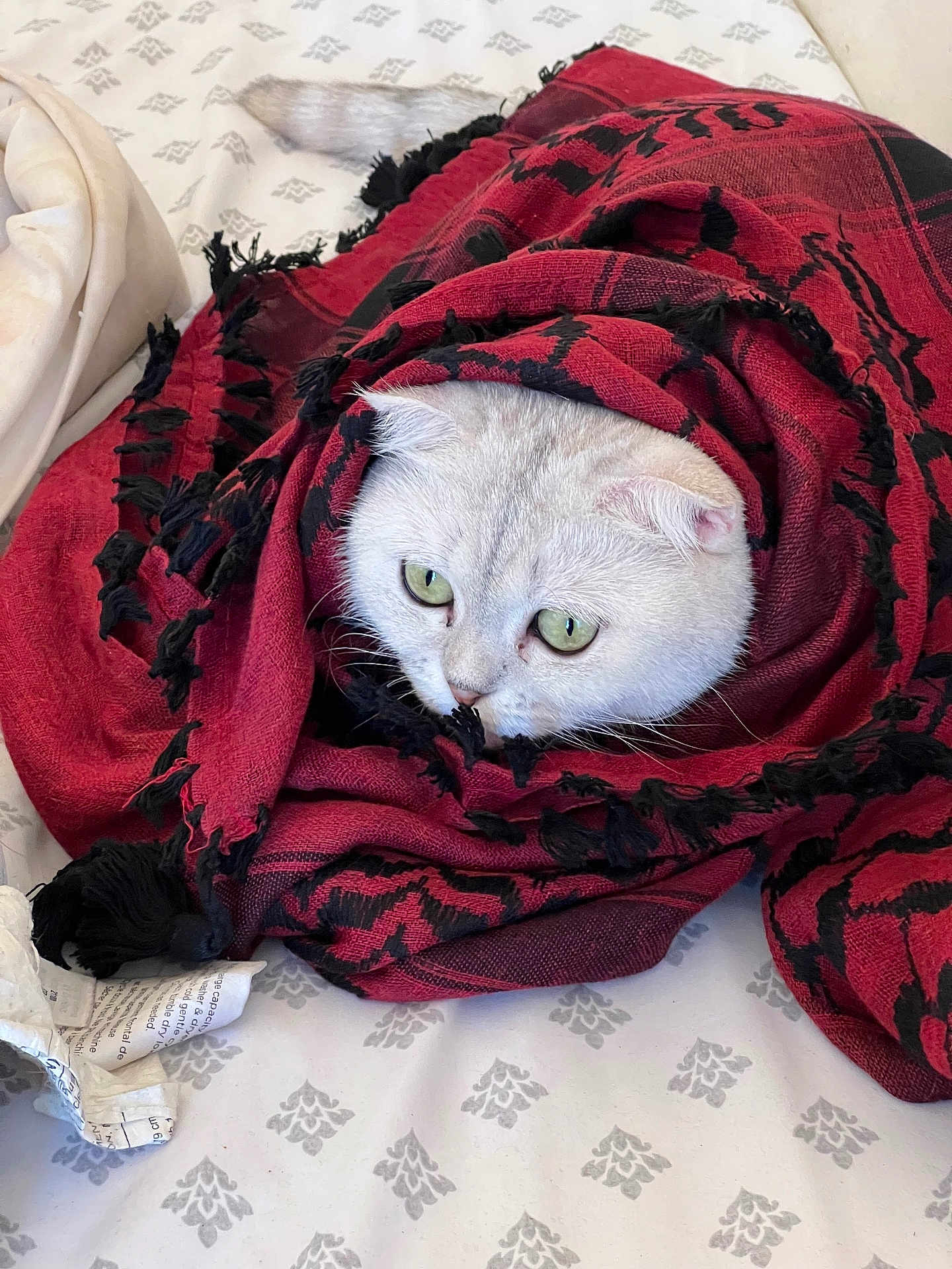 Lili