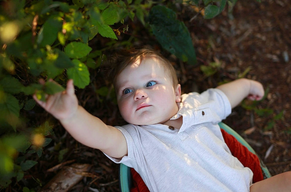 Jaxon is registered to the contest to win money with this photo: baby, baby_toddler_clothing, cheek, child, eye, flash_photography, forest, gesture, grass, happy, iris, leisure, nose, people_in_nature, person, plant, sitting, thumb, toddler, tree