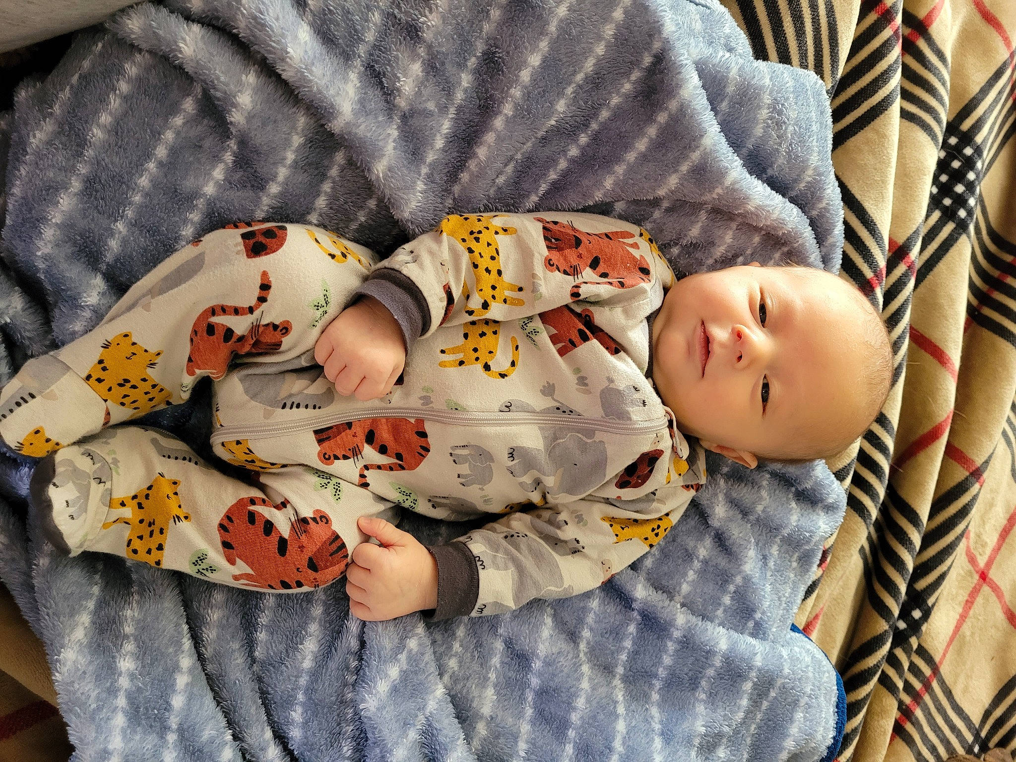 Rowdy is registered to the contest to win money with this photo: baby, baby_products, baby_sleeping, baby_toddler_clothing, child, comfort, hand, head, linens, mammal, nap, pattern, person, product, sitting, skin, sleep, sleeve, textile, toddler
