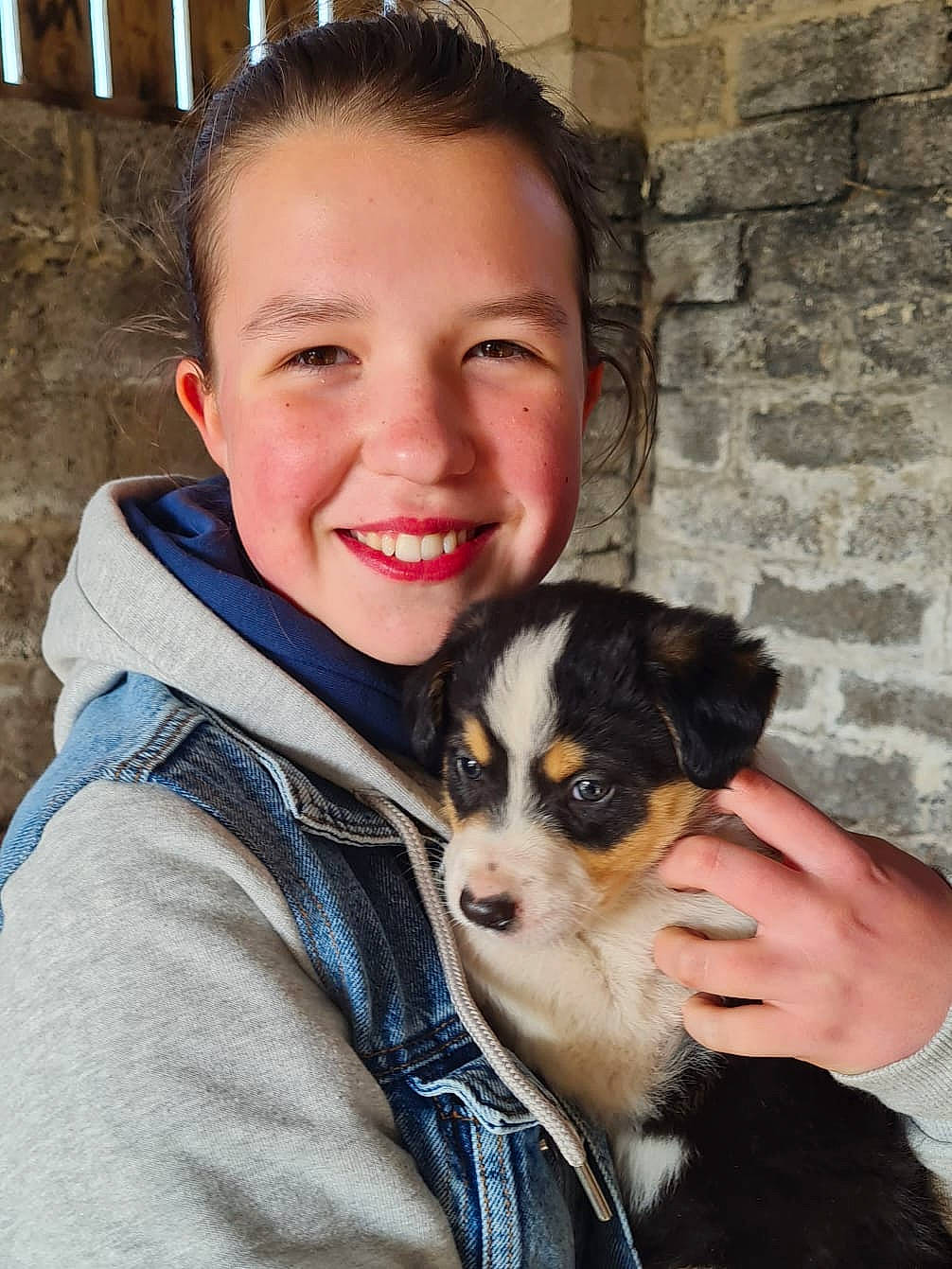 Cooper is registered to the contest to win money with this photo: beer, brown_hair, canidae, carnivore, child, companion_dog, dog, dog_breed, fawn, fun, fur, happy, laugh, organ, skin, smile, snout, sporting_group, toy_dog, whiskers