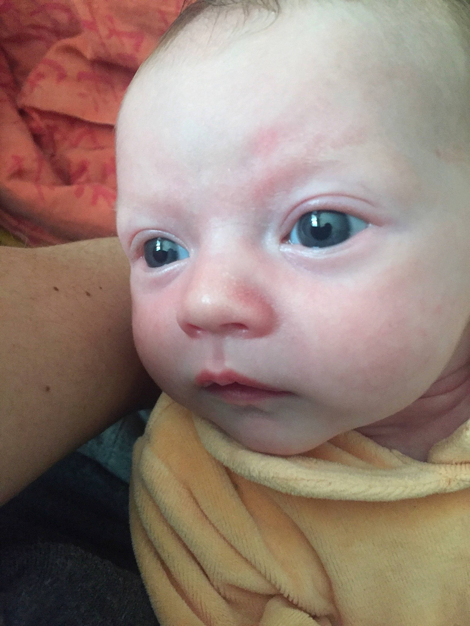 Lôrna a rejoint le concours — aidez-le/la à gagner de superbes lots ! baby, baby_making_funny_faces, cheek, child, chin, close_up, ear, eye, eyebrow, eyelash, face, forehead, head, iris, lip, mouth, nose, organ, person, skin