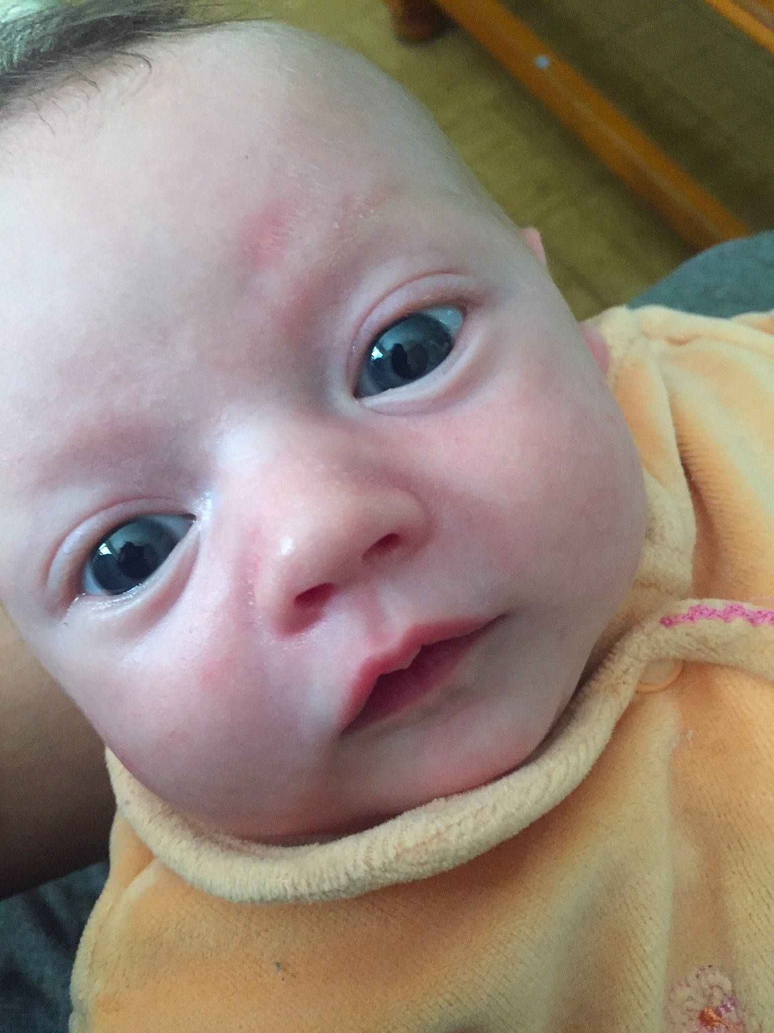 Lôrna participe au concours pour gagner de l'argent avec cette photo : baby, baby_making_funny_faces, cheek, child, chin, close_up, eye, eyebrow, eyelash, face, facial_expression, forehead, head, iris, lip, mouth, nose, person, skin, smile