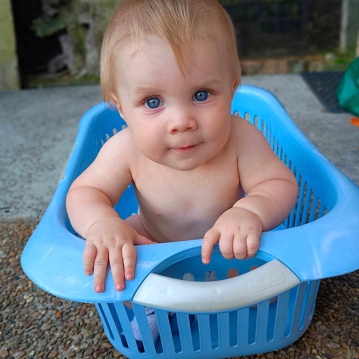 Maxi-Rangi is registered to the contest to win money with this photo: baby, baby_boy, blue_eyes, child, curious, cute, expression, face, ground, hands, infant, laundry_basket, nature, outdoor, plastic, portrait, sitting, skin, stone, young_child