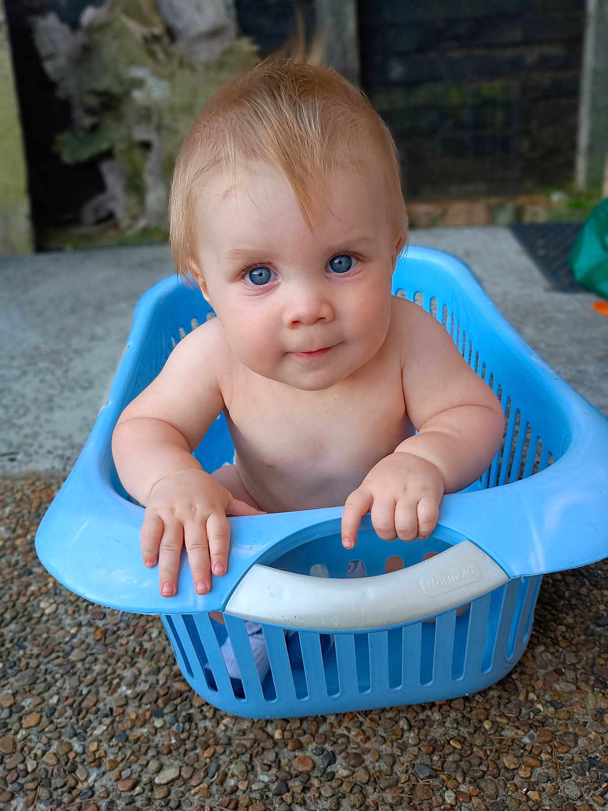 Maxi-Rangi is registered to the contest to win money with this photo: baby, child, blue_eyes, laundry_basket, plastic, hands, cute, curious, outdoor, ground, stone, skin, portrait, infant, baby_boy, sitting, expression, face, young_child, nature