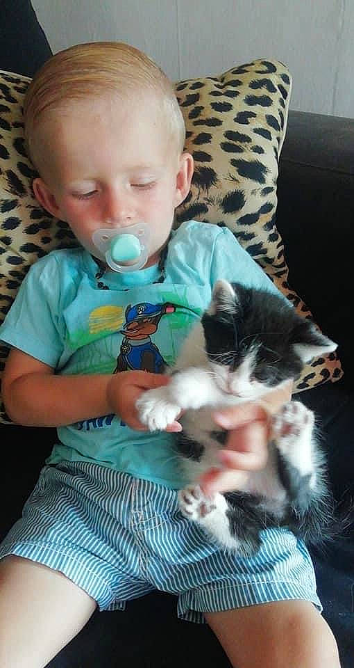 Minettes participe au concours pour gagner de l'argent avec cette photo : baby, baby_toddler_clothing, blue, carnivore, cat, comfort, couch, felidae, hairstyle, iris, lap, mammal, organ, photograph, skin, small_to_medium_sized_cats, toddler, vertebrate, whiskers, white