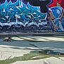 Andjie participe au concours pour gagner de l'argent avec cette photo : art, background, canine, colorful, concrete, daylight, dog, graffiti, leash, outdoor, playful, puddle, puppy, relaxed, resting, shadow, small_dog, street_art, urban, wall