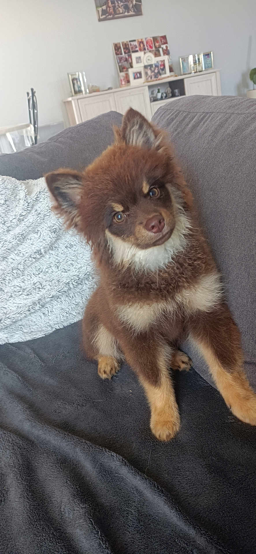 Akira