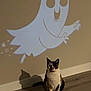 cat, calico_cat, animal, pet, indoor, wooden_floor, shadow, wall, projection, ghost, cartoon, cute, sitting, floor, mammal, feline, calm, home, playful, decor