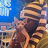 Mio participe au concours pour gagner de l'argent avec cette photo : cat, sphynx_cat, hairless_cat, person, holding, portrait, indoor, cafe, restaurant, striped_hat, winter_hat, knitwear, sweater, warm_lighting, blue_neon, seated, pet, wide_eyed, wrinkled_skin, funny