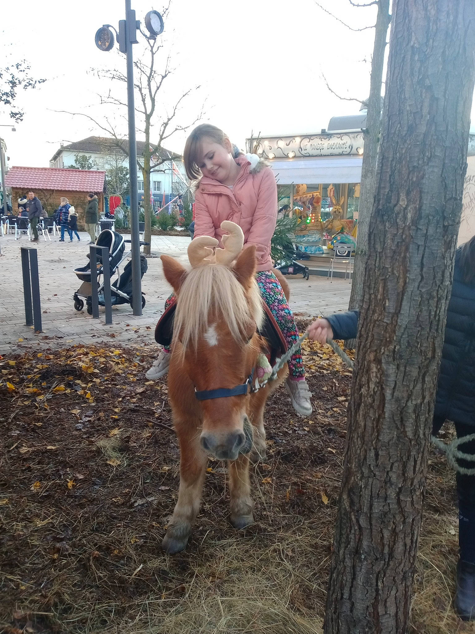 Lucie a rejoint le concours — aidez-le/la à gagner de superbes lots ! bridle, fawn, fur, grass, horse, horse_supplies, horse_tack, joy, landscape, livestock, mane, mare, pack_animal, person, pony, sky, soil, stallion, tree, wheel