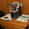 cat, tabby_cat, animal, pet, trash_can, garbage_bin, open_lid, indoors, wood_paneling, kitchen, table, laptop, electronics, power_outlet, cable, placemat, household, curious, funny, photography