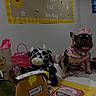 dog, french_bulldog, birthday, crown, party, costume, pet, animal, happy, tongue, portrait, table, plush_toy, bee, cow, gifts, wrapping_paper, birthday_cake, indoor, celebration