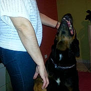 Balou a rejoint le concours — aidez-le/la à gagner de superbes lots !