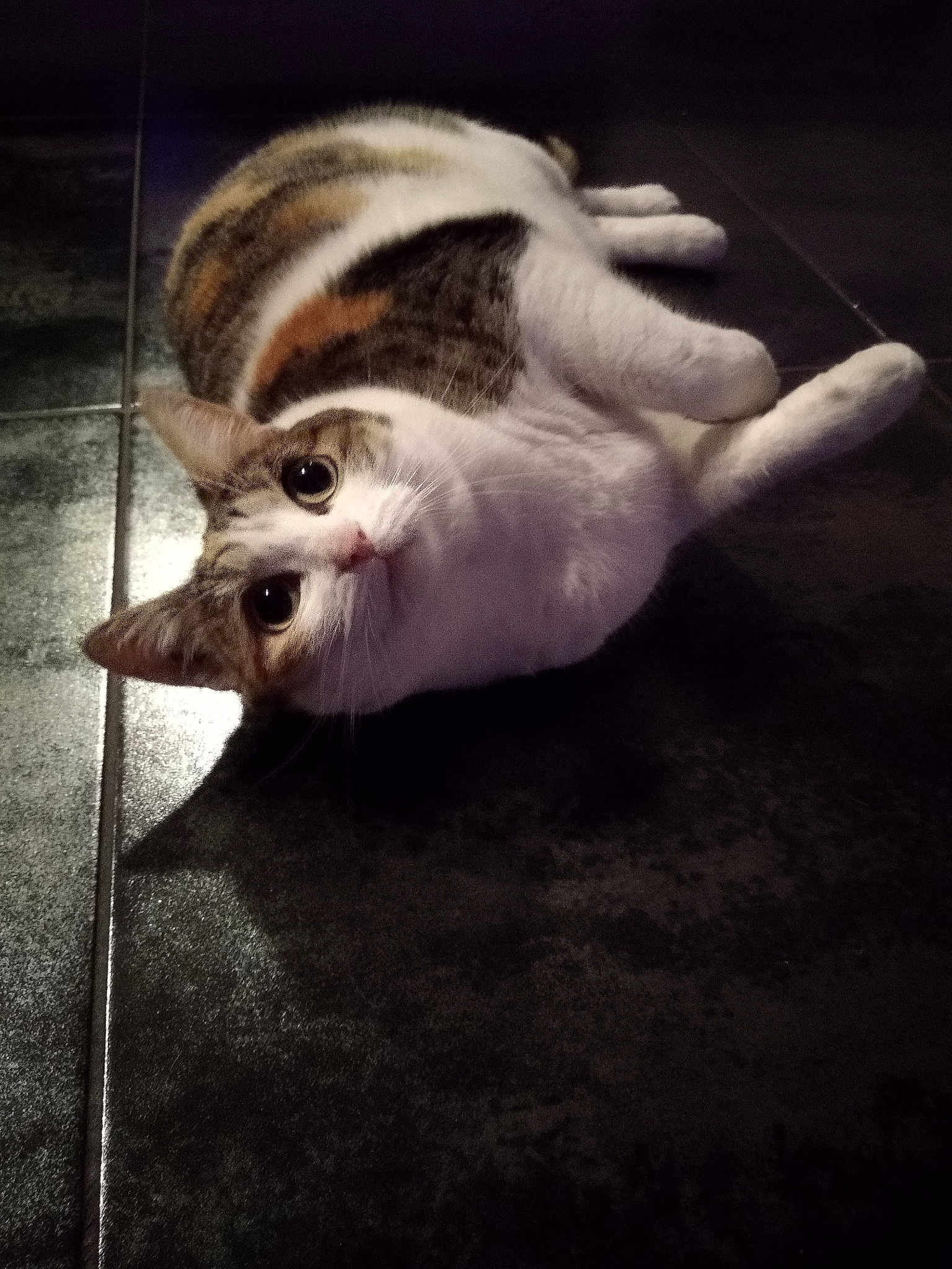 Lilou