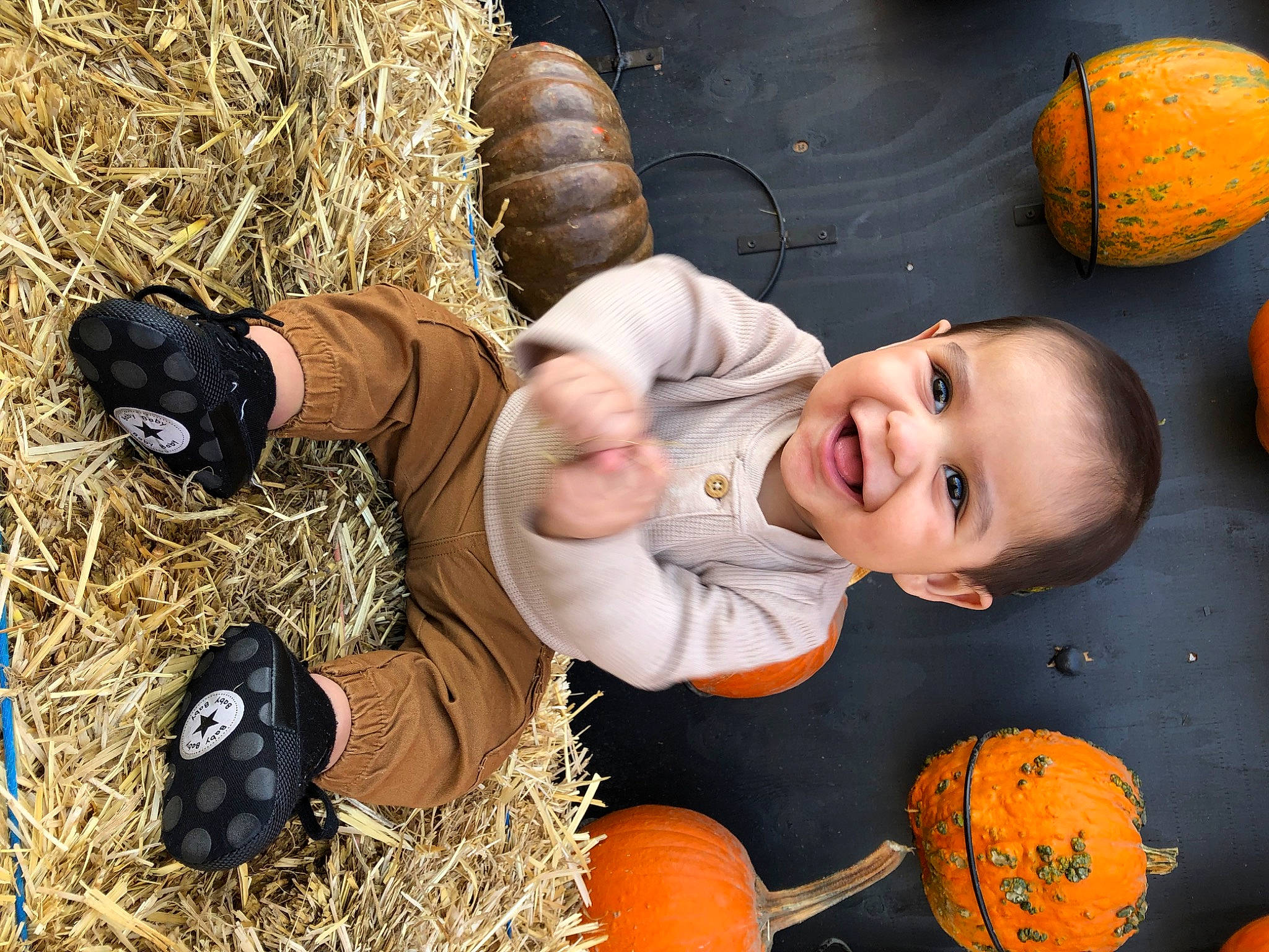Nathaniel joined the competition — help win amazing prizes! ball, calabaza, child, cucurbita, fun, gourd, grass, happy, joy, orange, people_in_nature, person, plant, pumpkin, sitting, smile, squash, toddler, tree, vegetable
