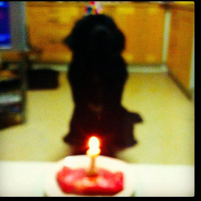 Bandit participe au concours pour gagner de l'argent avec cette photo : birthday, birthday_candle, candle, darkness, display_device, event, fire, flame, fun, heat, interior_design, light, lighting_accessory, rectangle, room, shadow, still_life_photography, tints_and_shades, wax