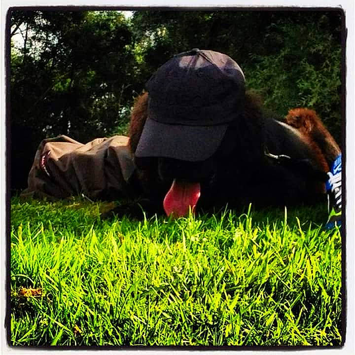 Bandit participe au concours pour gagner de l'argent avec cette photo : adaptation, beauty, cap, grass, grass_family, grassland, happy, hat, landscape, lawn, leaf, mammal, people_in_nature, photograph, plant, rectangle, sleeve, snapshot, tints_and_shades, vertebrate