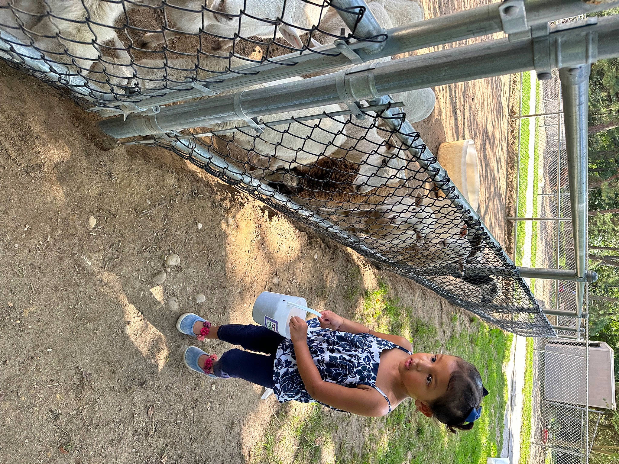 Ava joined the competition — help win amazing prizes! chain_link_fencing, concrete, fence, fun, grass, hammock, landscape, leisure, mesh, metal, net, people_in_nature, person, shade, shadow, shorts, soil, t_shirt, tree, wire_fencing