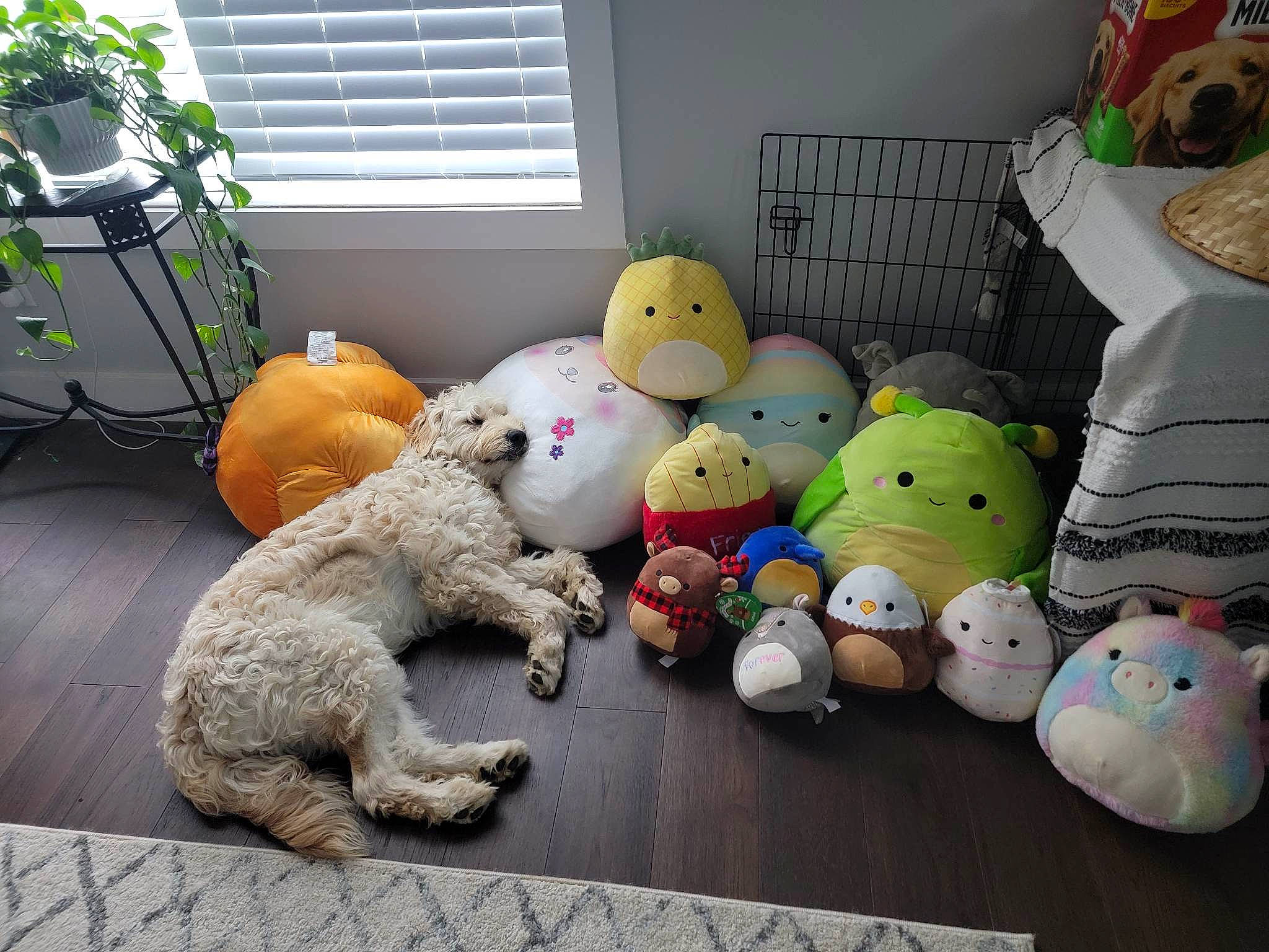 Rengoku joined the competition — help win amazing prizes! animation, art, baby_toys, collection, event, flooring, fur, interior_design, living_room, machine, party_supply, plant, plush, room, stuffed_toy, teddy_bear, toy, window, window_blind