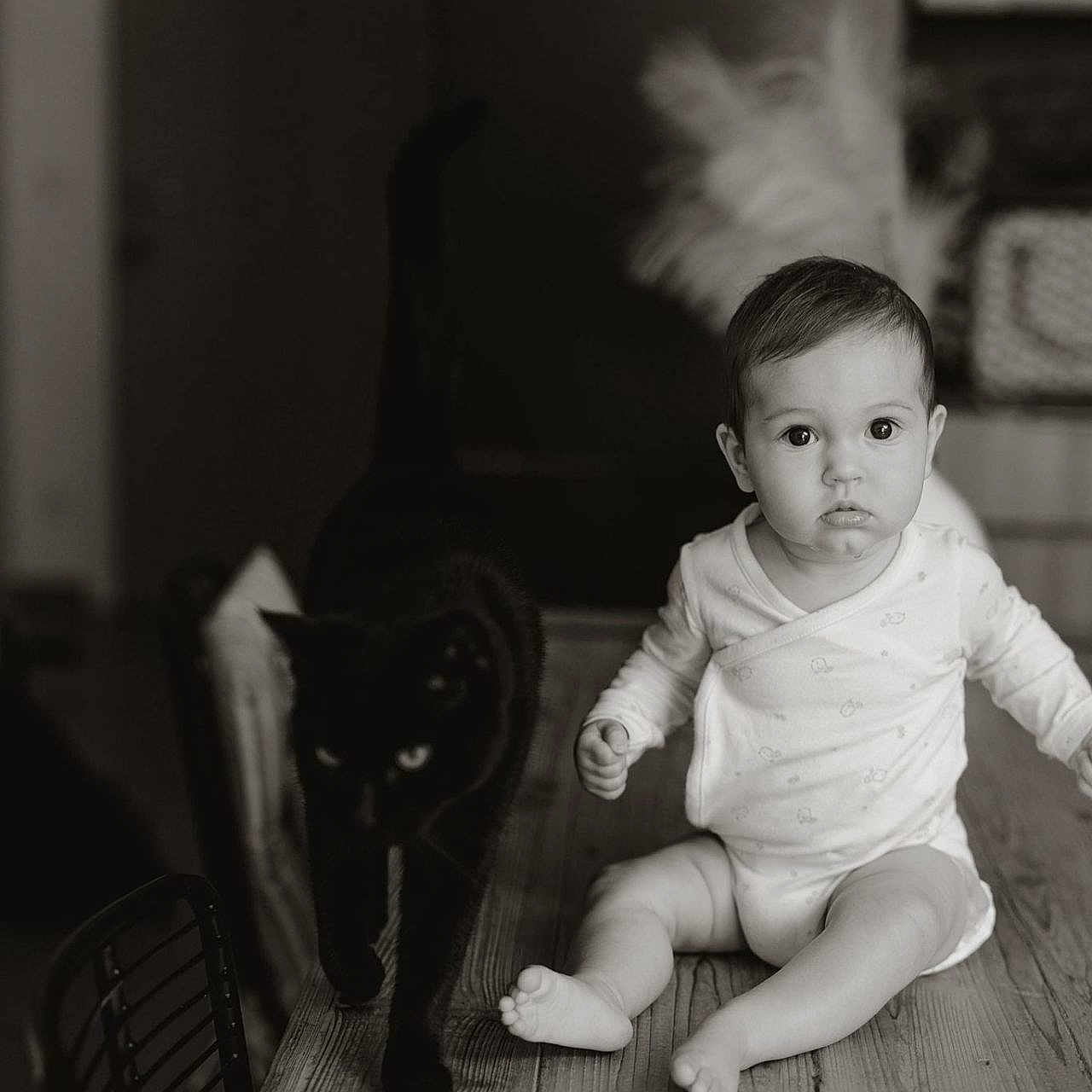 Iris. a rejoint le concours — aidez-le/la à gagner de superbes lots ! animal, baby, black_and_white, black_cat, child, cozy, curious, cute, floor, furniture, home, indoor, infant, monochrome, pet, portrait, sitting, table, wide_eyes, wooden_table