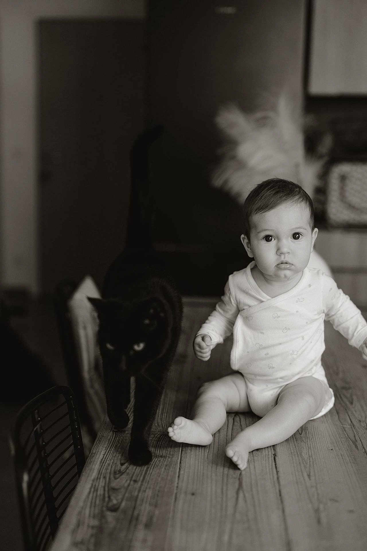 Iris. a rejoint le concours — aidez-le/la à gagner de superbes lots ! baby, child, black_cat, table, wooden_table, indoor, monochrome, black_and_white, curious, wide_eyes, sitting, pet, animal, furniture, cute, portrait, infant, floor, home, cozy