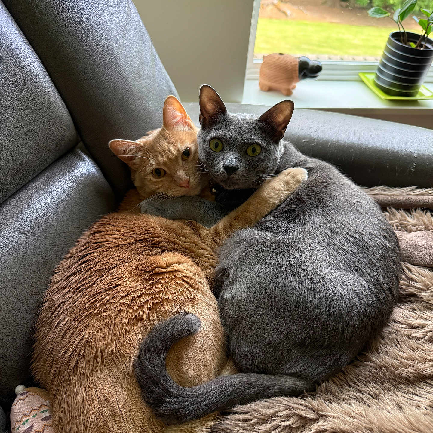 Edward And Ragnar