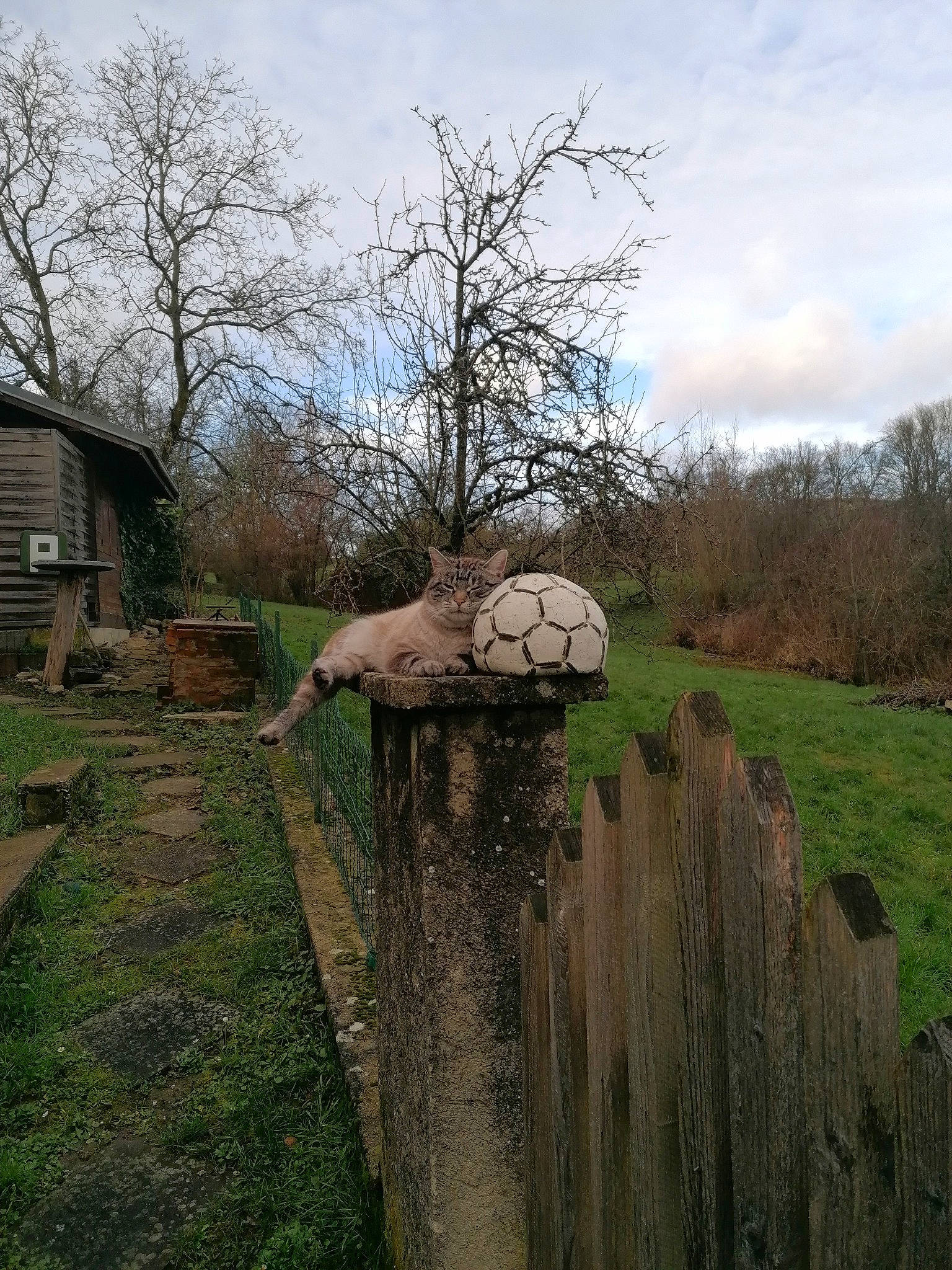 Flocon Et Plume participe au concours pour gagner de l'argent avec cette photo : art, branch, circle, cloud, environmental_art, grass, grassland, landscape, natural_landscape, plant, rock, sculpture, shrub, sky, tree, trunk, twig, window, winter, wood