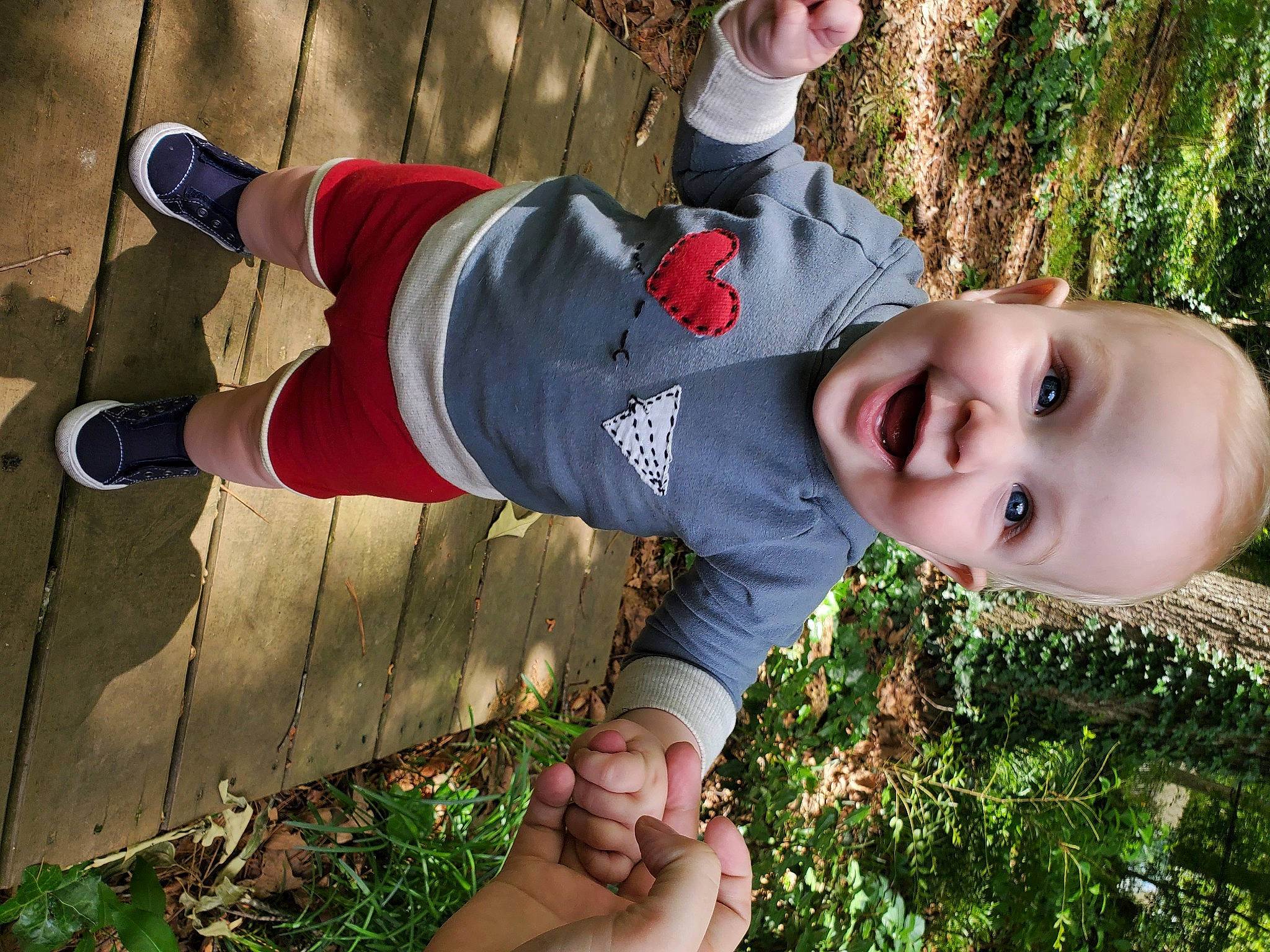 Briggs is registered to the contest to win money with this photo: baby, child, fun, grass, green, hand, happy, hat, human_leg, leisure, people_in_nature, person, plant, play, sitting, smile, soil, summer, toddler, tree