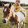 Enoan participe au concours pour gagner de l'argent avec cette photo : baby, pony, animal, child, outdoor, grass, field, fence, yellow_sweater, portrait, young_child, animal_face, nature, daylight, cute, mammal, horse, person, baby_on_animal, pasture