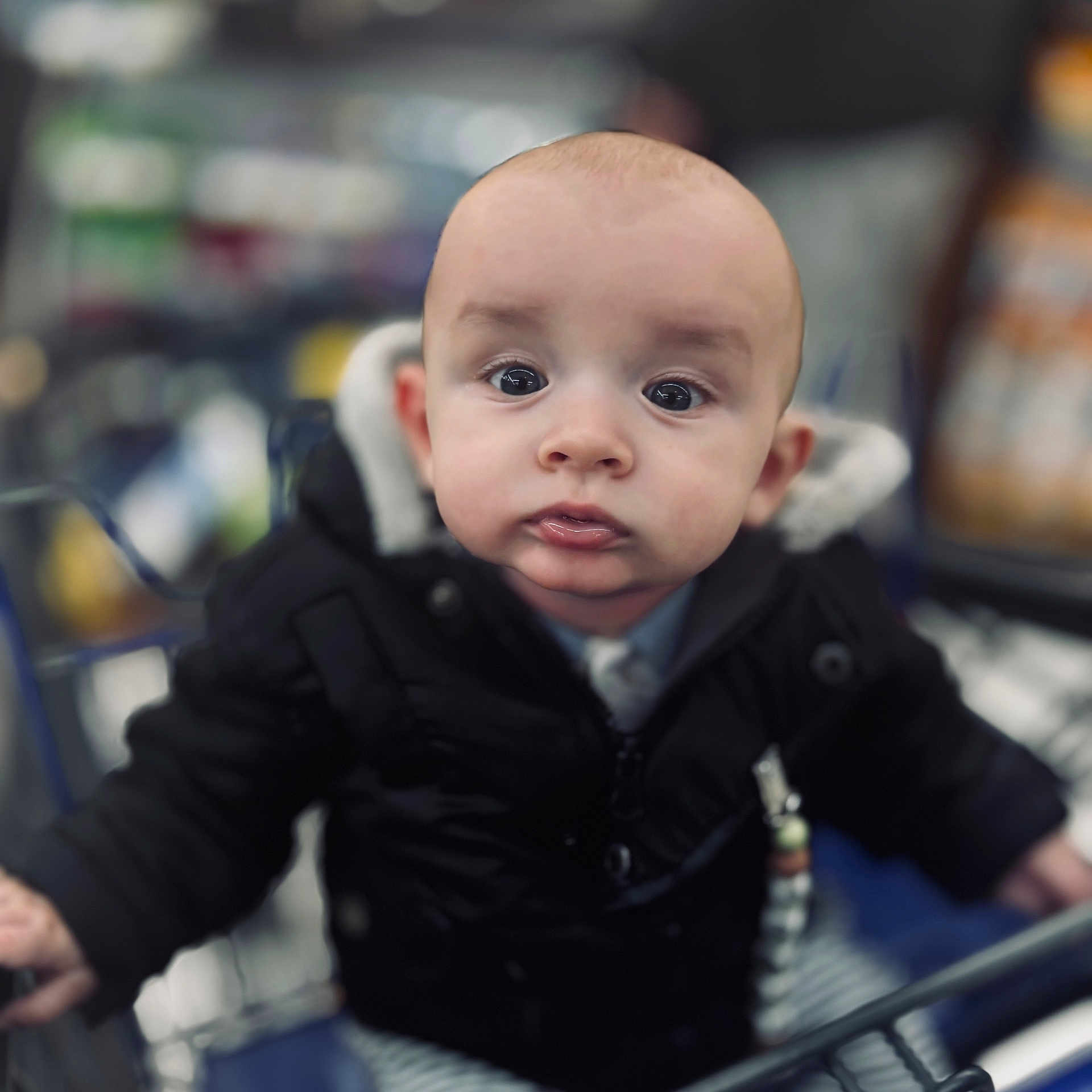 Enoan a rejoint le concours — aidez-le/la à gagner de superbes lots ! baby, black_clothing, blurred_background, child, curious, cute, expression, eyes, face, indoor, infant, jacket, person, portrait, retail, seated, shopping, shopping_cart, warm_clothing, young_child