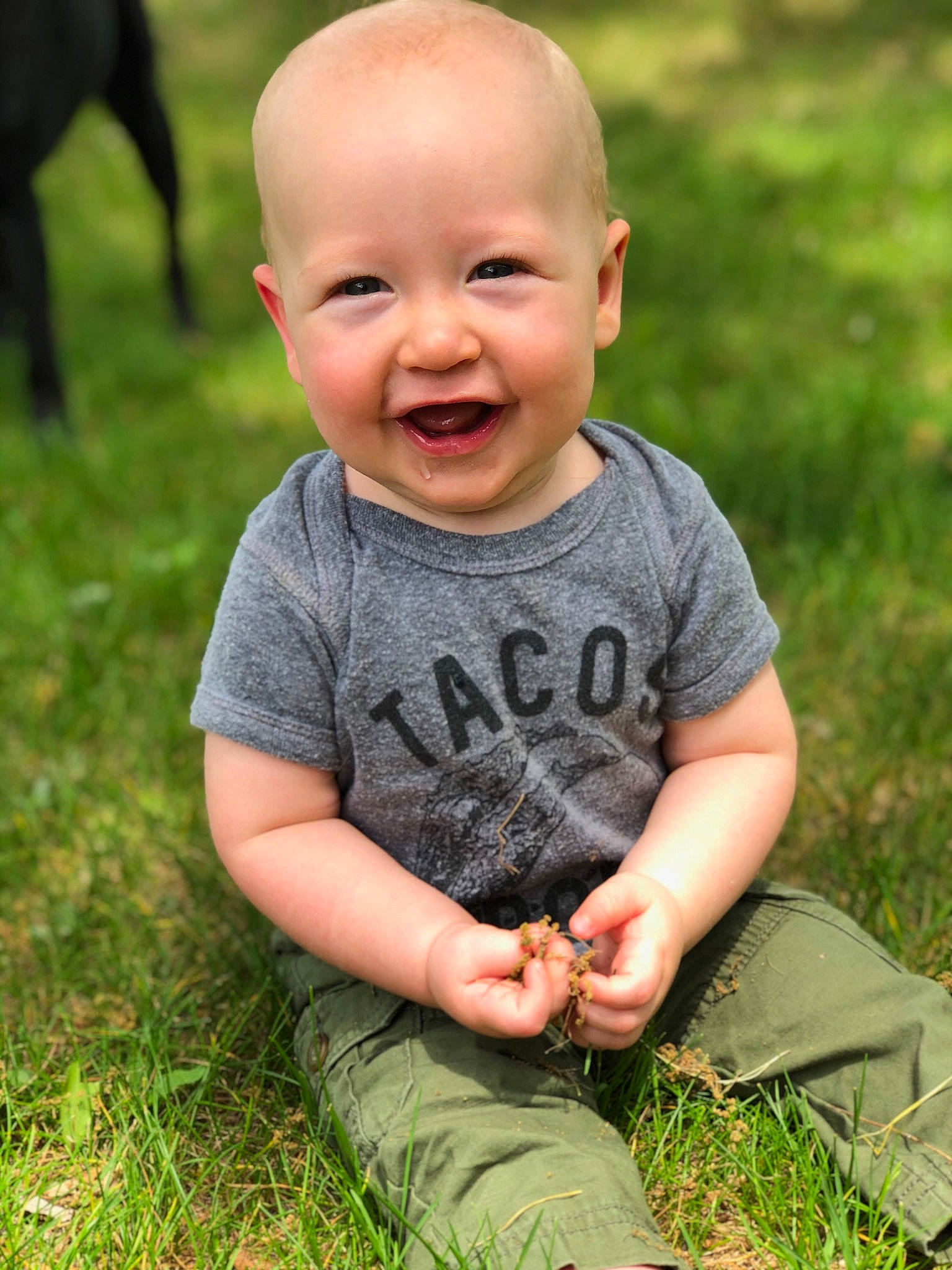 Hartley is registered to the contest to win money with this photo: baby, cheek, child, face, facial_expression, grass, green, happy, head, joy, lawn, meadow, mouth, person, photograph, photography, plant, portrait, sitting, skin