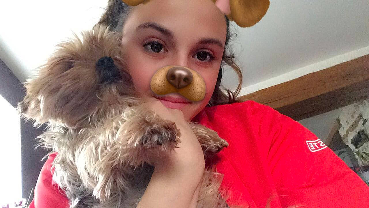 Maëlie a rejoint le concours — aidez-le/la à gagner de superbes lots ! beard, canidae, carnivore, companion_dog, dog, dog_breed, ear, facial_hair, fur, hair, maltepoo, morkie, nose, person, puppy, puppy_love, schnoodle, snout, yorkshire_terrier