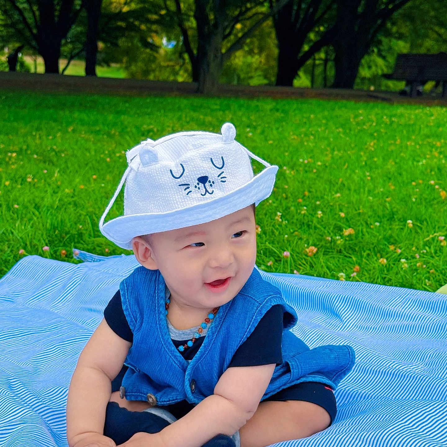 Tenzin Dawa participe au concours pour gagner de l'argent avec cette photo : baby, blanket, blue_clothing, child, cute, grass, greenery, happy, hat, infant, necklace, outdoors, park, picnic, playful, portrait, sitting, smile, toddler, trees