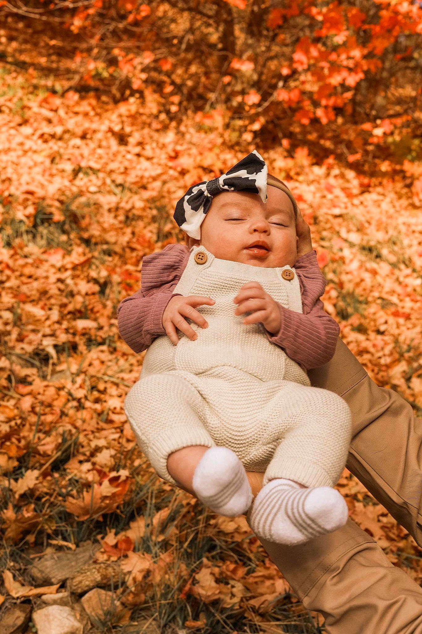 Preslee is registered to the contest to win money with this photo: autumn, baby, child, deciduous, flash_photography, forest, grass, happy, headwear, leaf, leisure, people_in_nature, person, plant, portrait_photography, sitting, soil, toddler, tree, wood