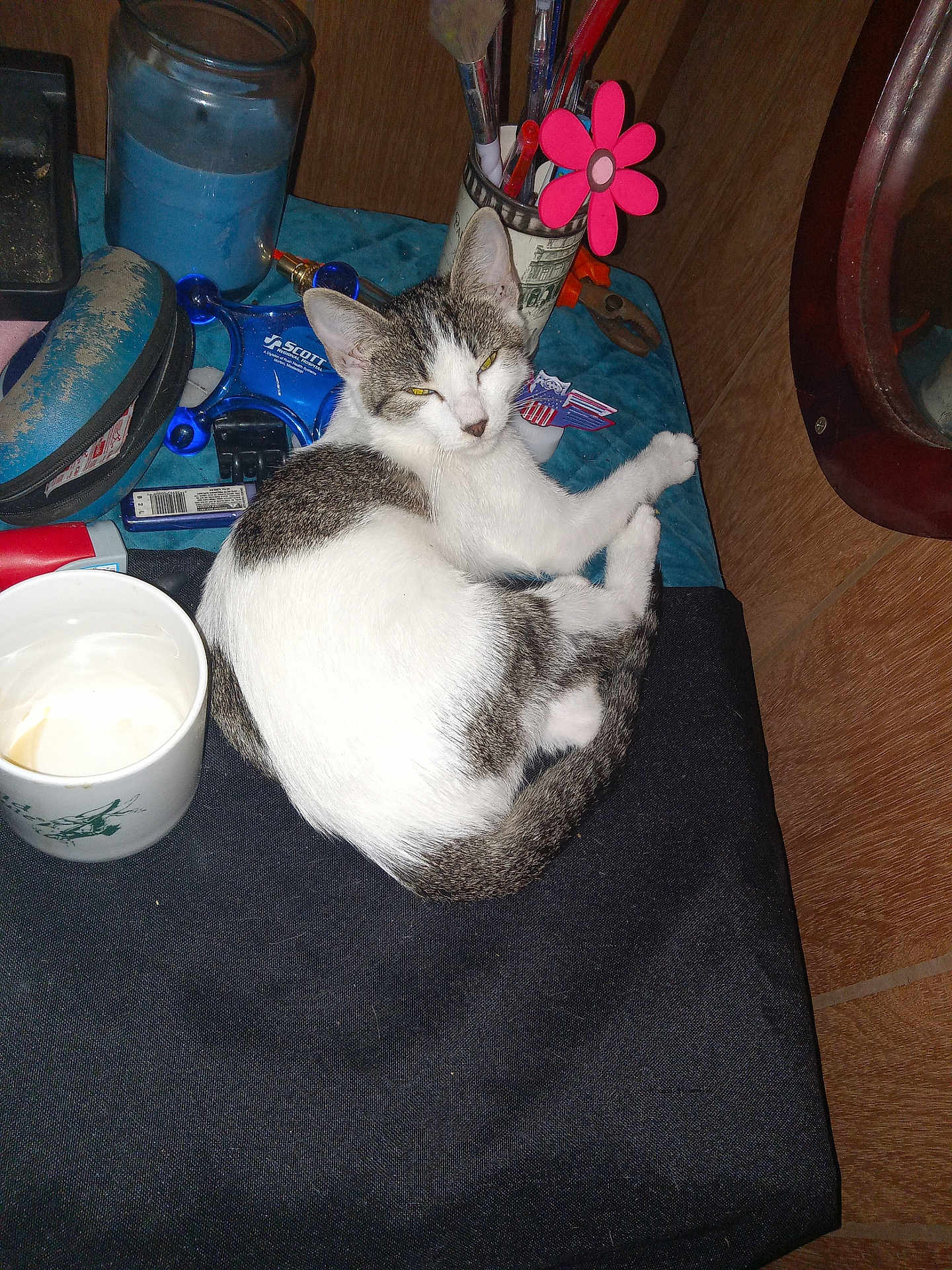Sweet Pea joined the competition — help win amazing prizes! cat, animal, pet, white, gray, fur, desk, cup, pen_holder, pens, flower_decoration, tool, blue_gadget, wood, clutter, indoor, resting, looking, feline, close_up