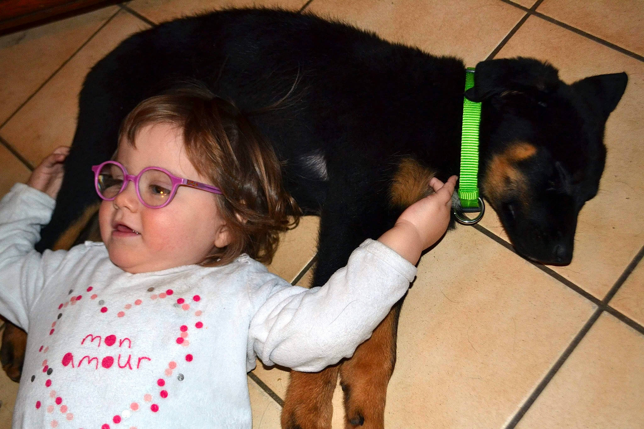 Éloïse participe au concours pour gagner de l'argent avec cette photo : canidae, carnivore, child, dog, dog_breed, ear, fawn, guard_dog, leash, miniature_pinscher, organ, person, snout, toddler