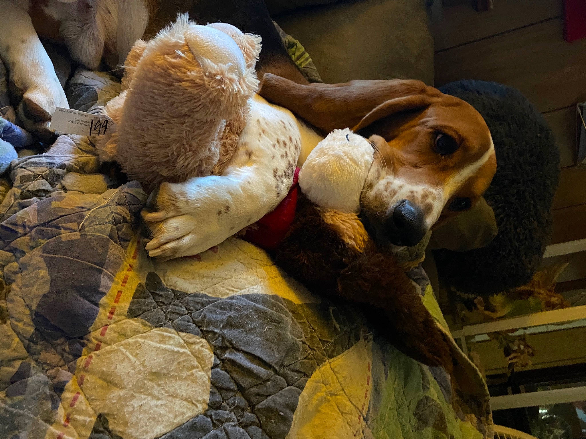 Coby is registered to the contest to win money with this photo: art, artifact, carving, chainsaw_carving, fawn, fur, metal, mythology, nonbuilding_structure, reptile, rock, sculpture, snout, statue, terrestrial_animal, toy, visual_arts, wildlife, wood, working_animal