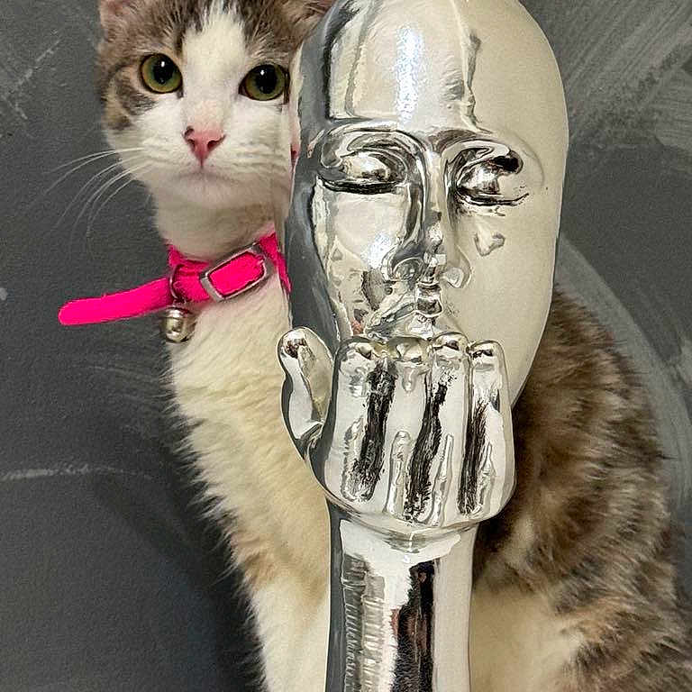 Milo a rejoint le concours — aidez-le/la à gagner de superbes lots ! alien, angora, animal, art, brasssection, cat, egyptiancat, face, glass, goblet, head, horn, kitten, manx, modernart, musicalinstrument, person, pet, pezdispenser, toy