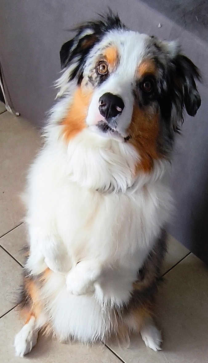 Olaf