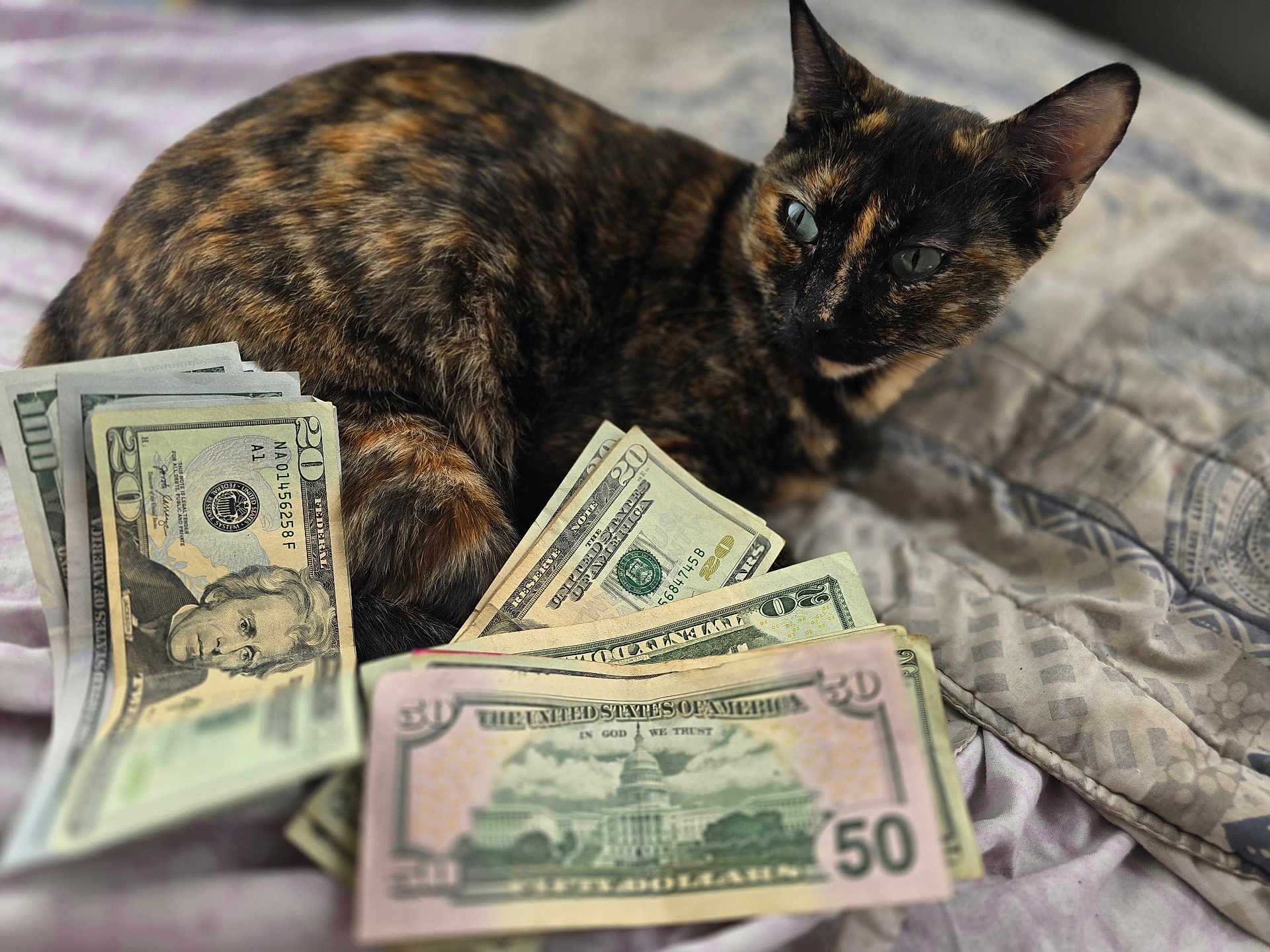 Molly