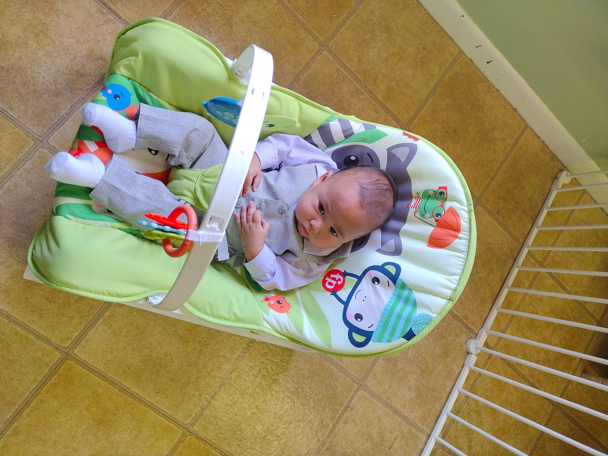 Joseph joined the competition — help win amazing prizes! baby, baby_products, baby_toddler_clothing, baby_toys, child, circle, comfort, flooring, grass, linens, person, room, toddler, wood