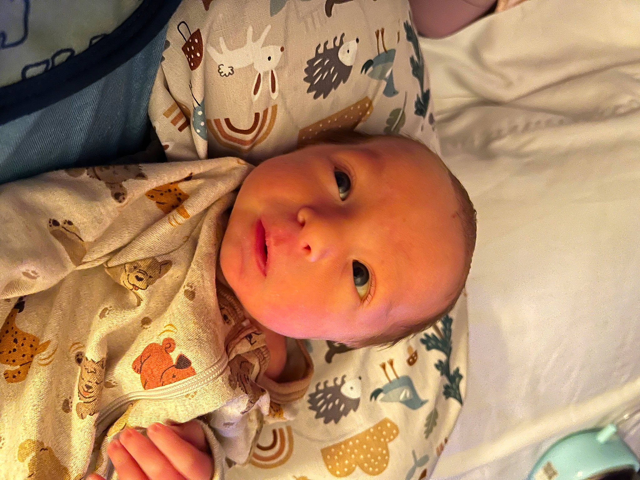 Hudson joined the competition — help win amazing prizes! baby, baby_toddler_clothing, cheek, child, chin, comfort, ear, eye, eyebrow, eyelash, head, iris, linens, lip, mouth, nose, person, skin, sleeve, smile