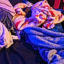 dog, blanket, cozy, pile, remote_control, indoor, soft_texture, resting, wrapped, colorful, fabric, snug, dark_background, home, pet, comfort, warm_light, fur, relaxation, hidden