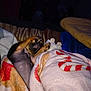 Maximus is registered to the contest to win money with this photo: puppy, dog, blanket, sleeping, cozy, paw, plush_toy, bed, indoor, cute, snuggling, fur, animal, warm, resting, small_dog, comfort, pet, soft, relaxing