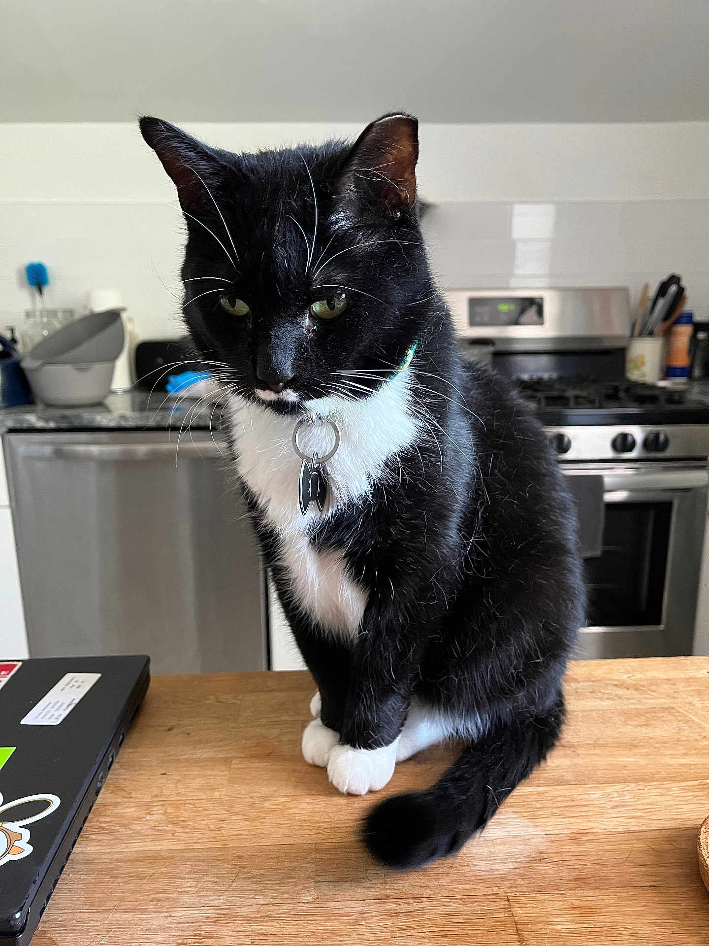 Oscar