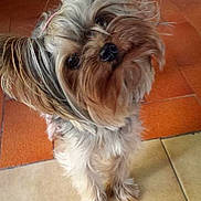 Junia participe au concours pour gagner de l'argent avec cette photo :