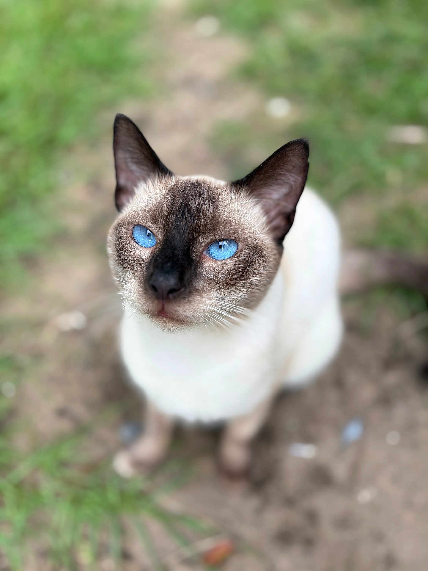 Stormy
