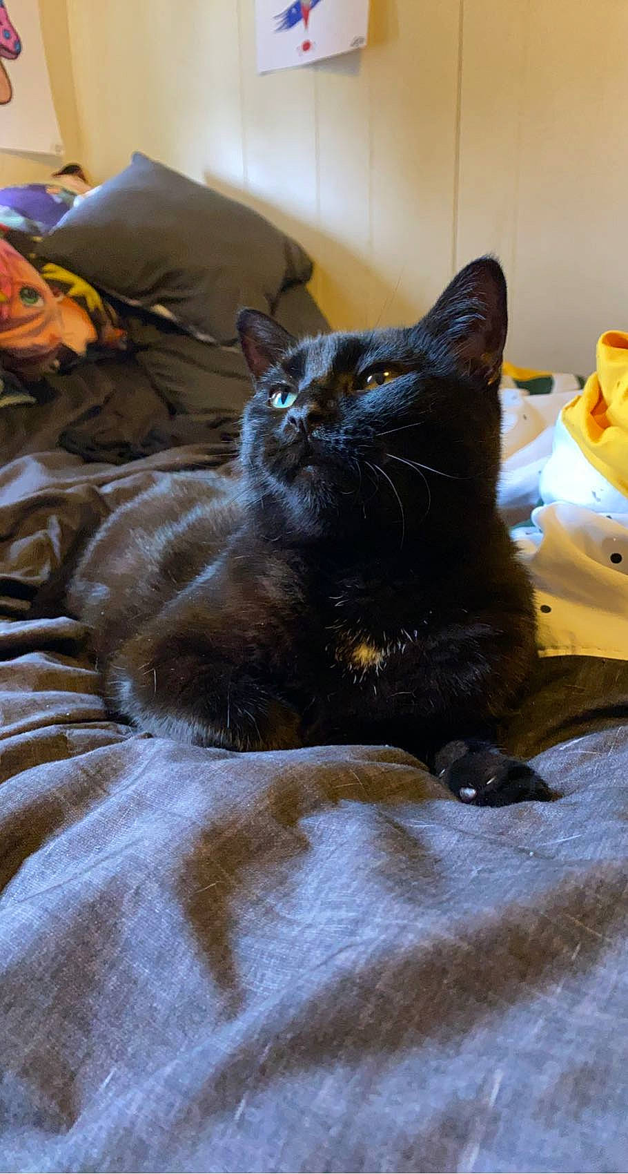 Luna